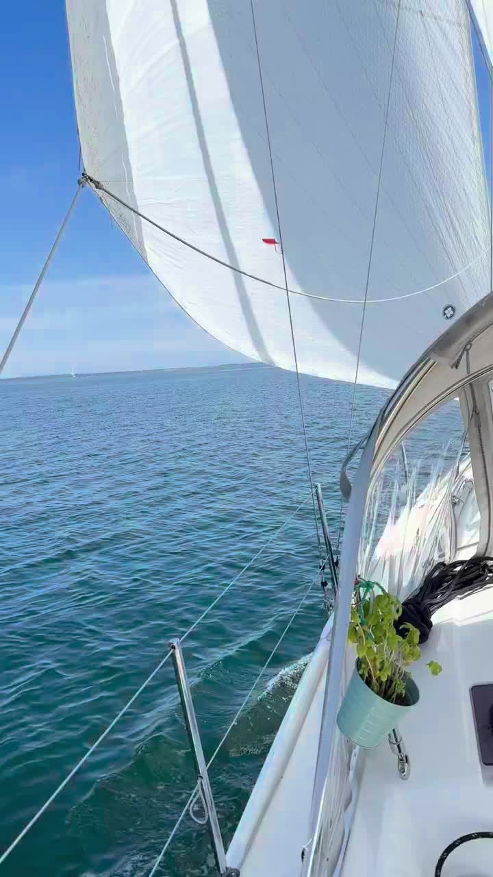 Wir segeln ❣️