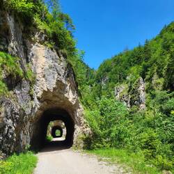 Die Waldbahn für uns durch 19 Tunnel.