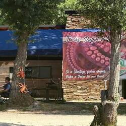 This place was really pushing their octopus.