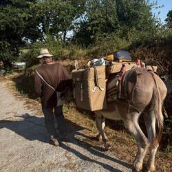 Pilgrim but not chatty. Probably wouldn't get anywhere if he talked to all asking about the donkey.