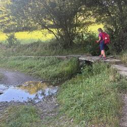 Stream crossing.