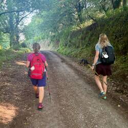 Pretty typical of the path today.