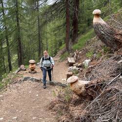 Die etwas anderen Pilze