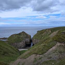 Da ist es, Puffins Cove - eine der größten Siedlungen am britischen Festland.