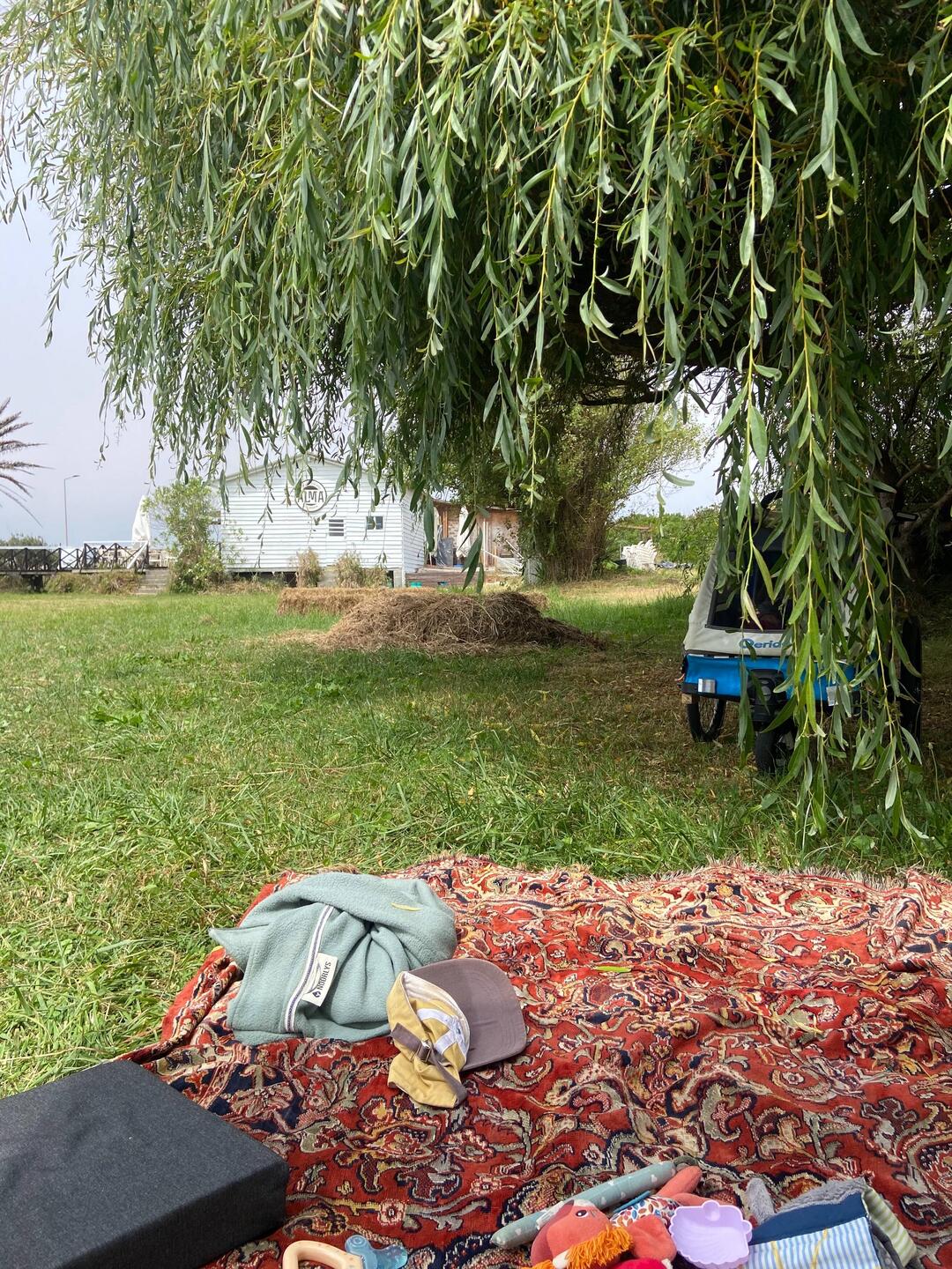 Our camp