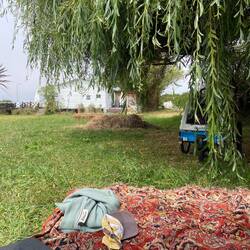 Our camp