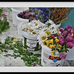 Blumen wurden besorgt....