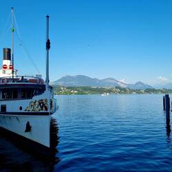 ... und der Königin der Berge, der Rigi!
