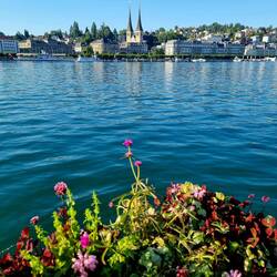 Auf dem Weg zum Public Viewing in Luzern ...