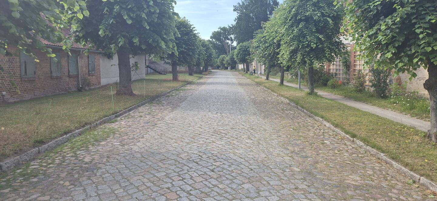 Kopfsteinpflaster en masse