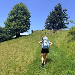 Bei der größten Mittagshitze in der Sonne den Berg hoch 🥵