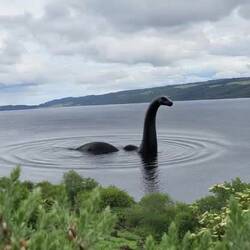 Nessi vom Loch Ness.
