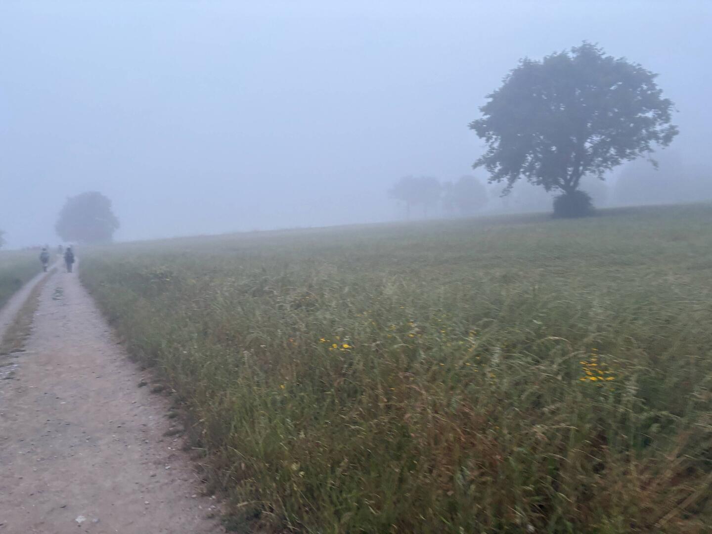 Not much in the way of views today, but the cloud cover kept it cool.