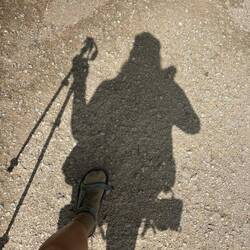 I felt compelled to take this when the sun finally came out around noon.