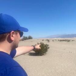 Robin in den Mesquite Flat Sand Dunes