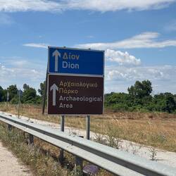 Dion to oczywiście skrót od Dionizosa