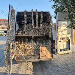 Massen von Knoblauch gegen Vampire ?