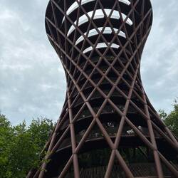 Forest Tower
