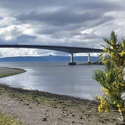 Sky Bridge