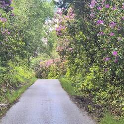 schöne Route, klein aber fein