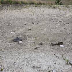 Outside was the "edge" of the water hole. Pieces of elephants, turtles, etc.