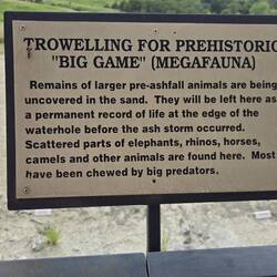 Explains why these fossils are left in the open.