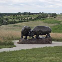 Statue of Barrel bodied rhinos fighting. Mostly females at the site with a few males.