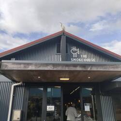 Heron on roof of Fish & Chip shop. Lunch $24
