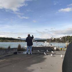 Feeding the seagulls with our left over chips