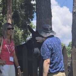 Petting an ass