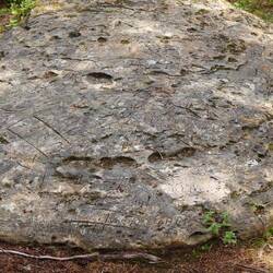 Kvilstein (resting stone) in the marshes