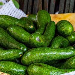 Look at those oddly shaped avocados! Fascinating!