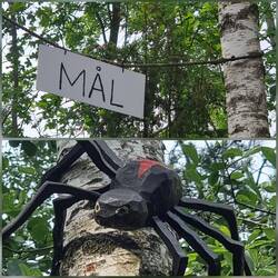 Tekla sitzt auch im Baum
