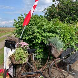Idyll am Wegesrand