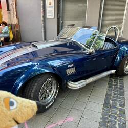 Cobra 😍😍😍😍