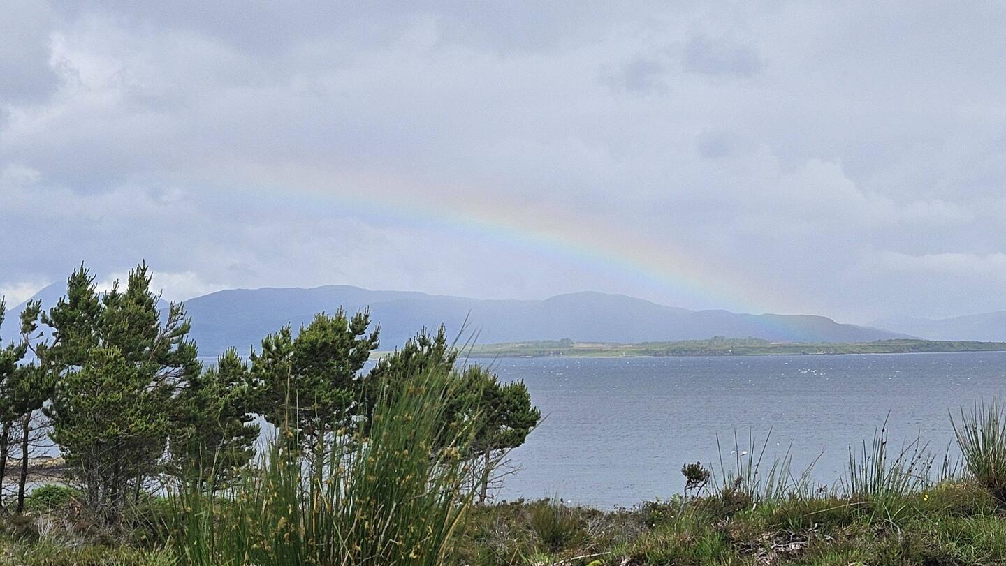 Regenbogen