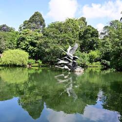 The Swan Lake