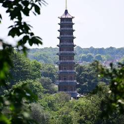 The Great Pagoda - seems a little out of context