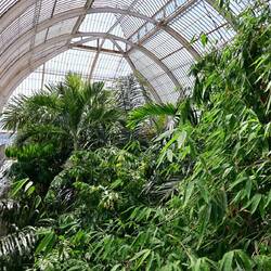 Inside the Palmhouse