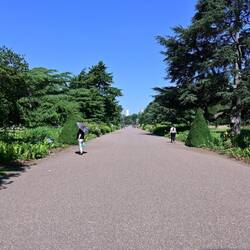 The Broad Walk