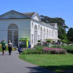 The Orangerie