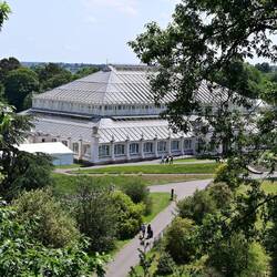 The Temperate House