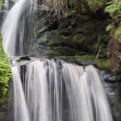 Lynn Falls - Aberlour