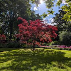 Schöner Garten nebenan...