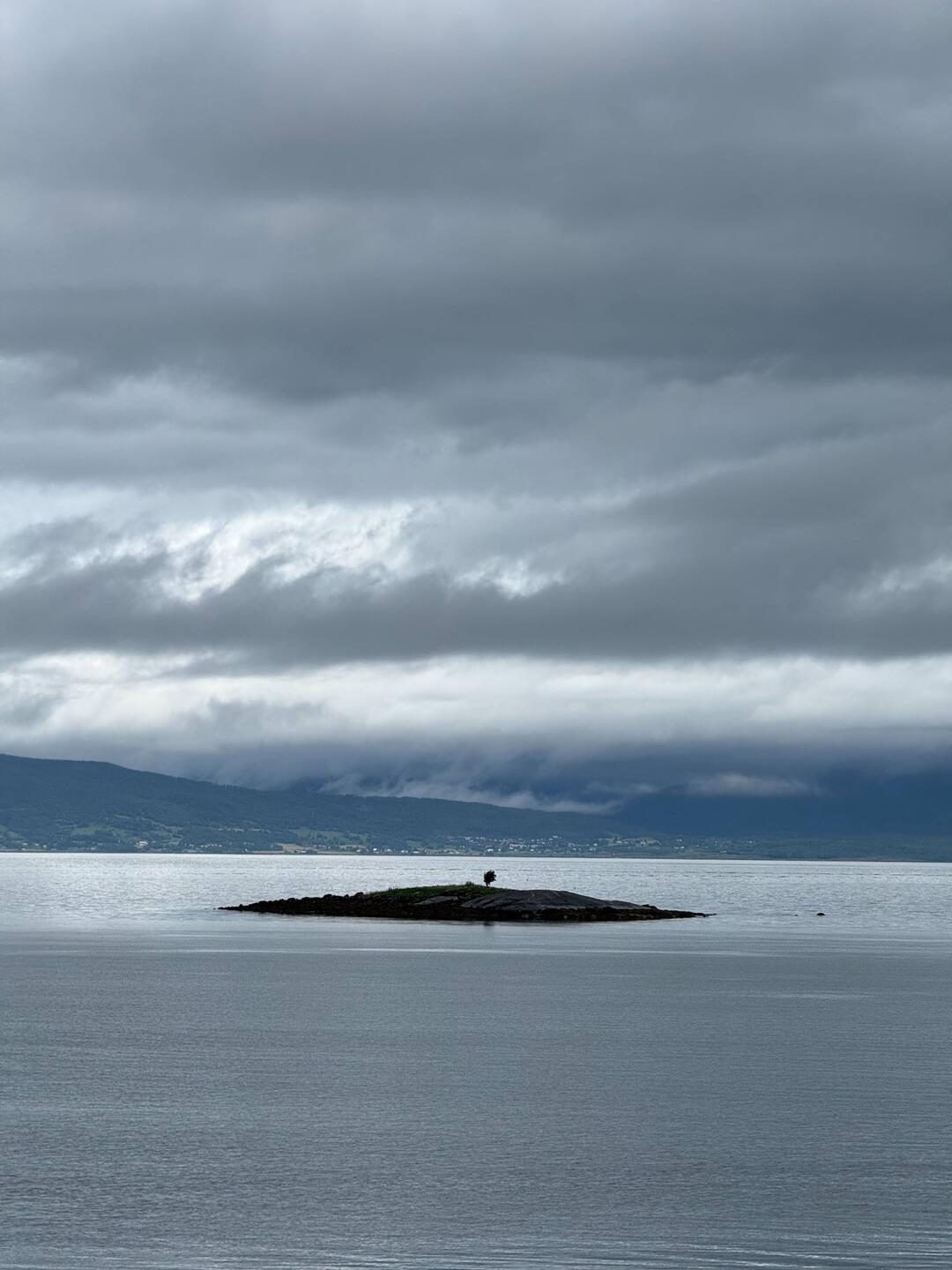 EinBaumInsel