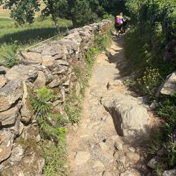 Super steep with deep drops from rock to rock. Fortunately short.