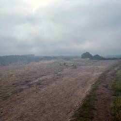 Hazy, but never did rain on us. Sun came out earlier than I would have liked.