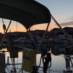 Vogelkonzert morgens um 4:30