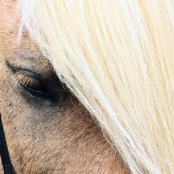 And eyelashes