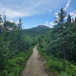 Mt. Healy about a third of the way up the trail.